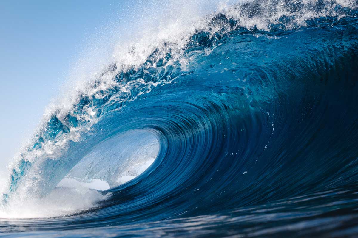 ANACONDA Wave Energy Converter (WEC)