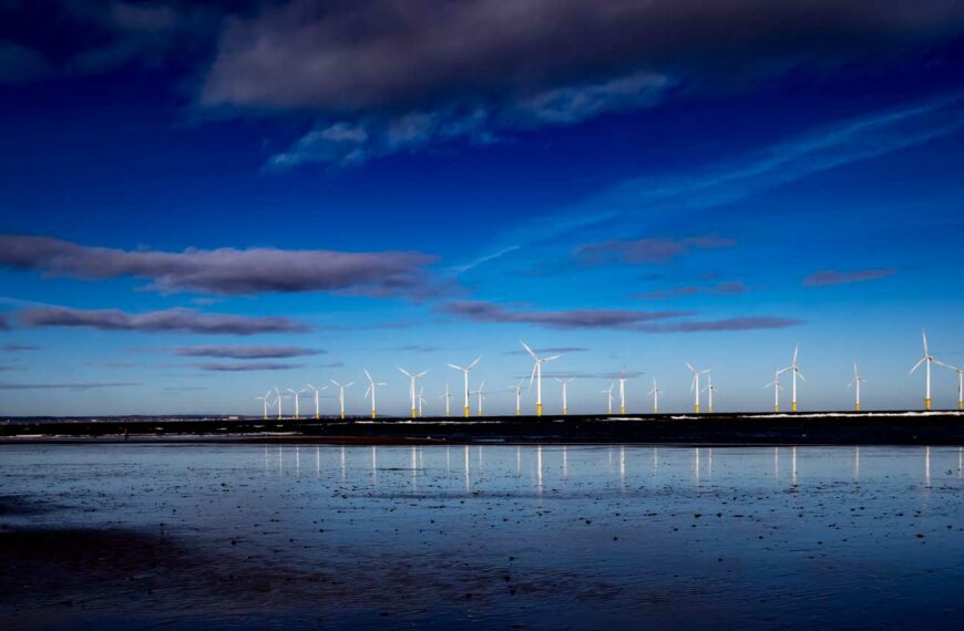 Will Cleverly – A Year In Review