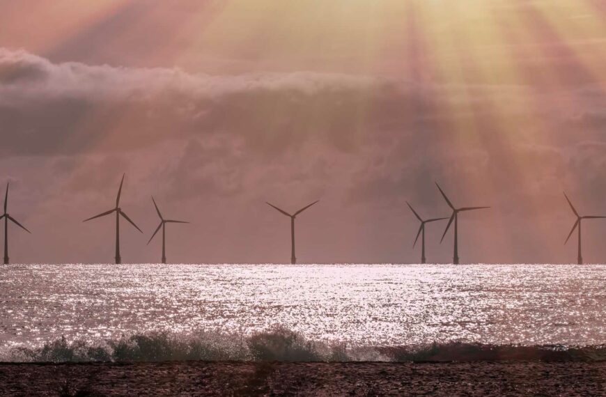 IBAMA sets out Terms of Reference for offshore wind farm licensing