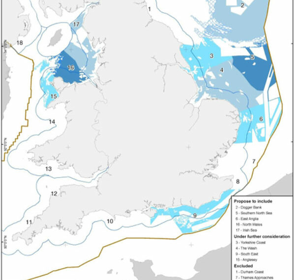 UK Offshore Wind Regions