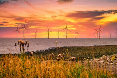 Meet the team: Mirella Verhage, Principal Consultant