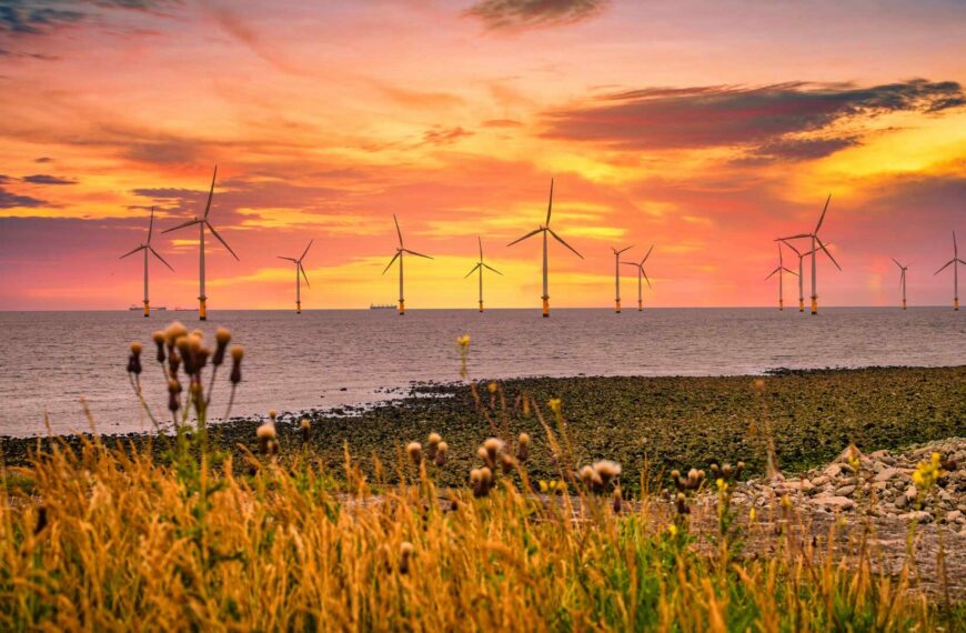 OWC Vietnam discusses localisation as key to offshore expansion