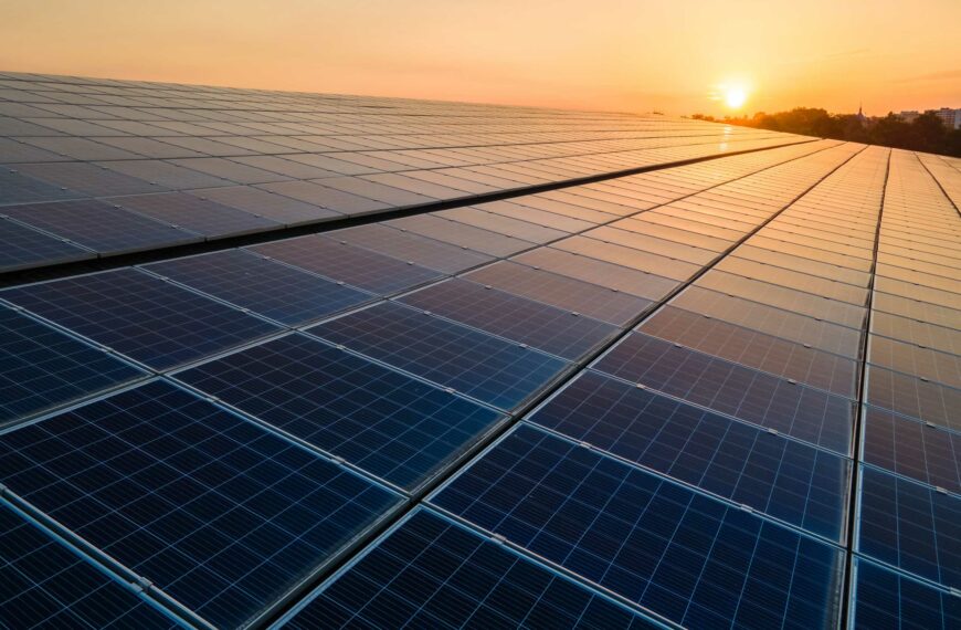 Ground mounted solar panels at sunset