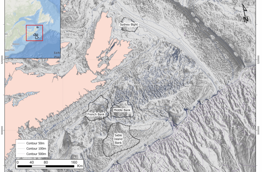 Canada’s Offshore Moment: From Policy to Power On – Navigating the Road Ahead 