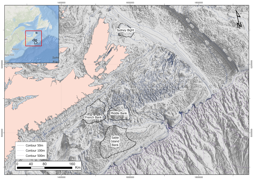 Canada’s Offshore Moment: From Policy to Power On – Navigating the Road Ahead