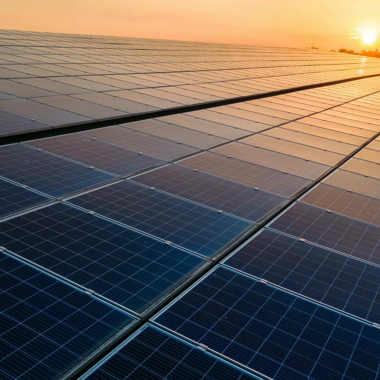 Ground mounted solar panels at sunset