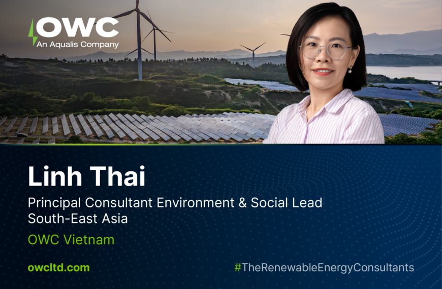 Meet the Team: Linh Thai, Principal Consultant Environmental & Social , Southeast Asia | OWC Vietnam